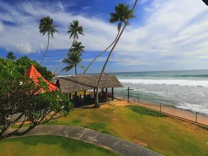 Lanka super corals