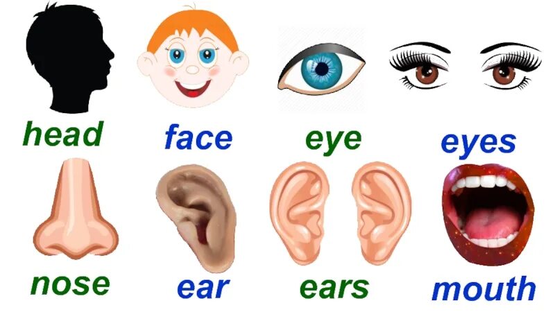 Nose как читается