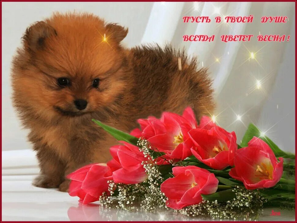 Пусть передать