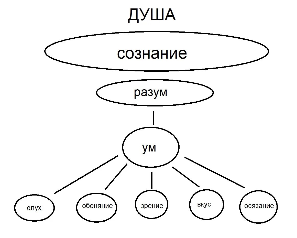 Душа и ее составляющие. Ум разум сознание отличие. Сознание ум разум душа. Ум разум интеллект отличия. Ум разум рассудок интеллект.