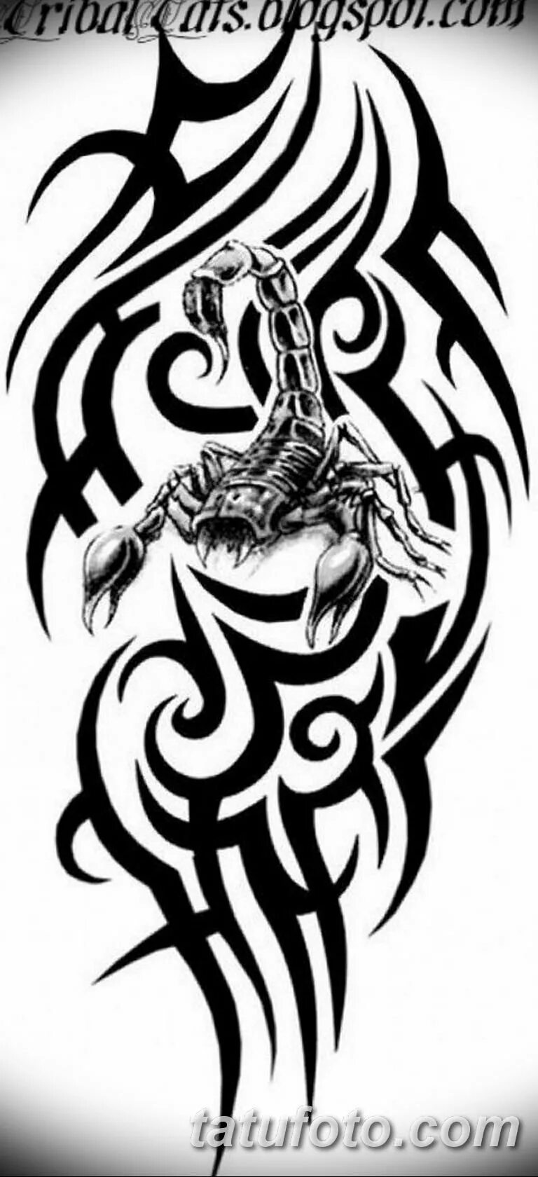 тату дуэйна джонсона эскиз. тату трайбл на плече мужские эскизы. лев трайбл. эскизы тату на плечо мужчине со смыслом. эскизы тату для парней.