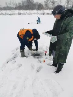 Лед тг