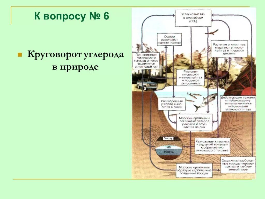 Каким путем связанный углерод возвращается в атмосферу. Схема круговорота углекислого газа. круговорот углерода в природе схема. круговорот углерода (по ф. рамад, 1981). круговорот углерода в атмосфере схема.