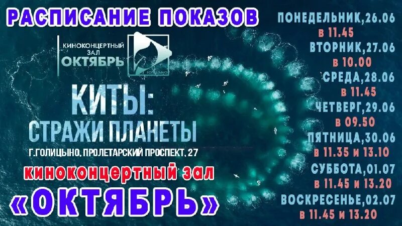 красный кит кинотеатр сеанс. мытищи красный кит кинотеатр каро. алмаз красный кит мытищи. кинотеатр красный кит мытищи. кинотеатр каро на дыбенко.