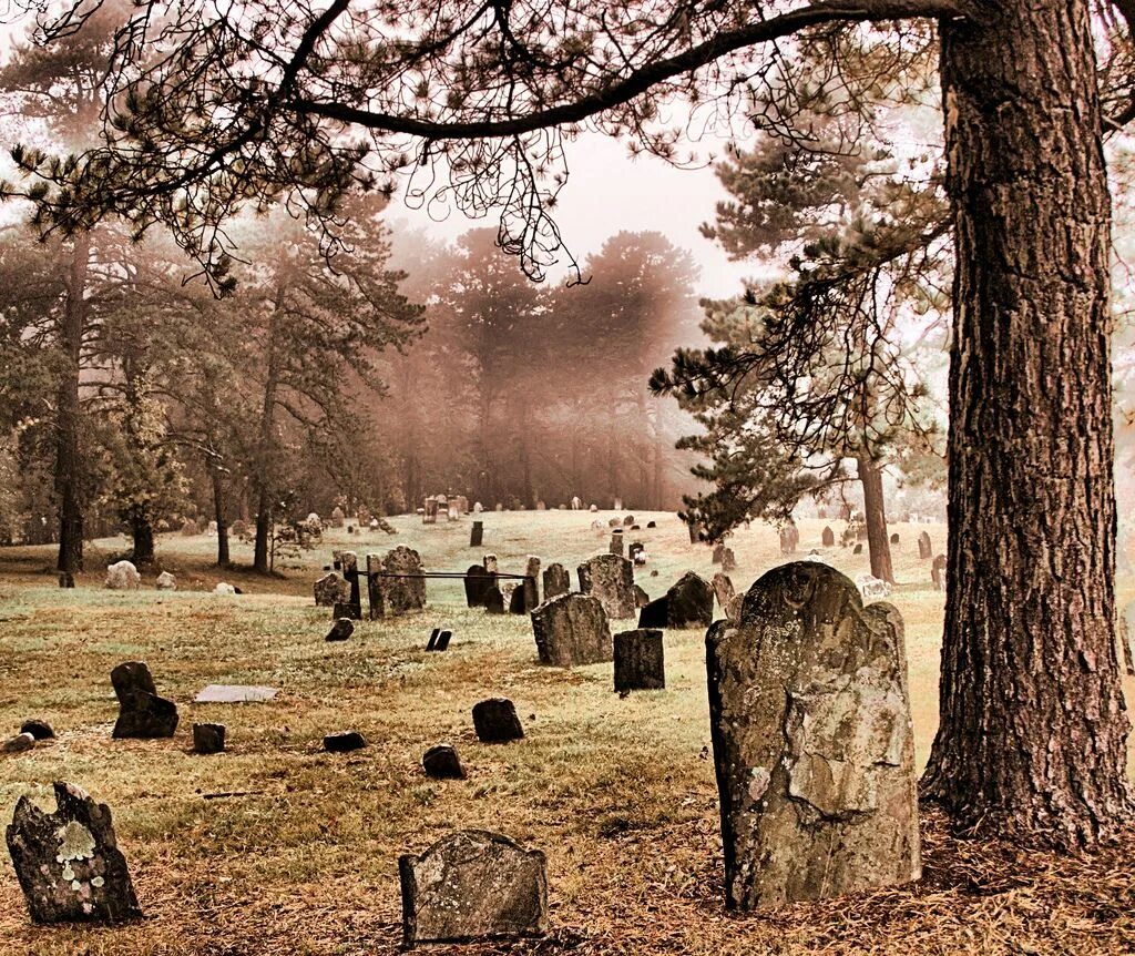 Meet you at graveyard. Graveyard graveyard. старое кладбище. старые могилы. сосна на кладбище.