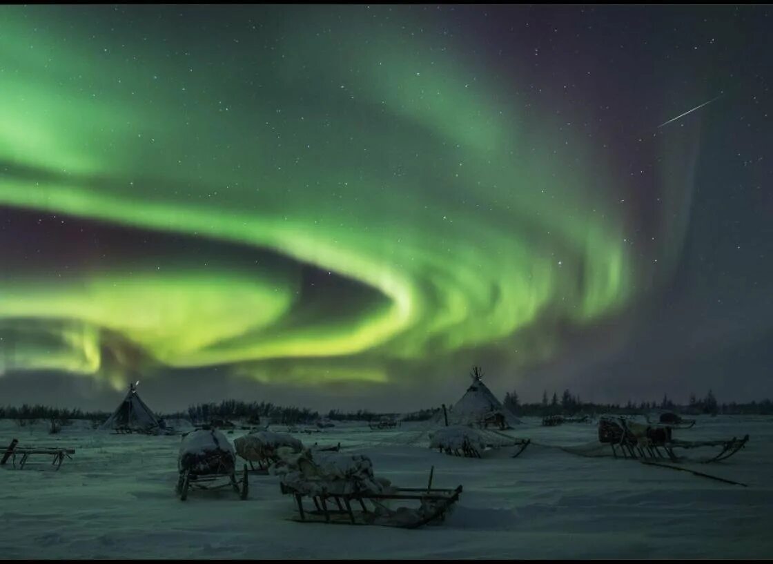 Северное сияние в тундре. Северное сияние в заполярье. Полярное сияние в тундре. Лесотундра северное сияние. Северное сияние тазовский.