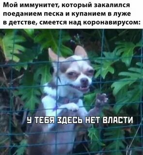 Данных не смотря на эти