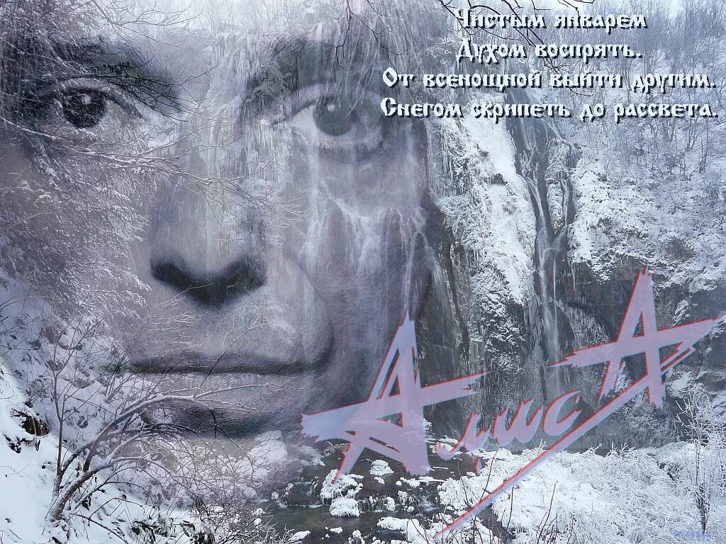 Алиса сейчас позднее чем ты думаешь. Кинчев белый шум. Алиса белый шум. Кинчев белый шум альбом. Кинчев белый шум альбом.