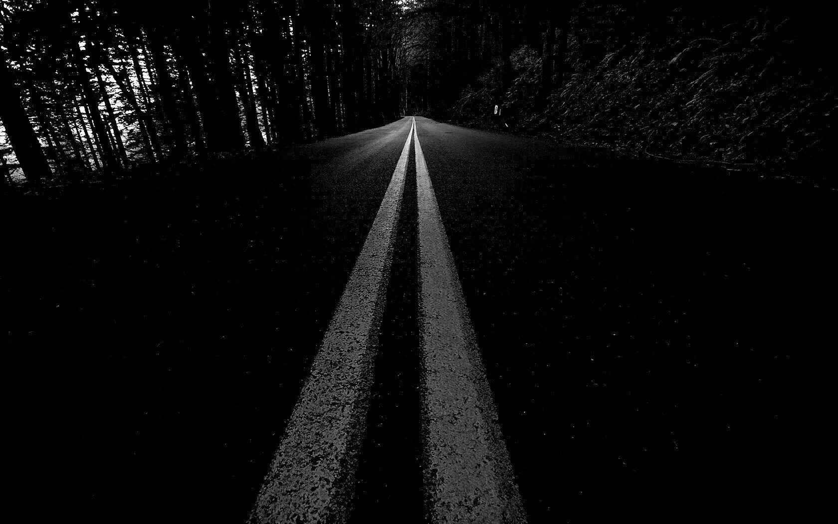 Темные дороги 2017. Темная дорога. Дорога ночью. Дорога в лесу черно белая. Дорога в темноте.