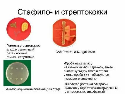 Гемолизин