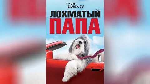 Волосатый папа