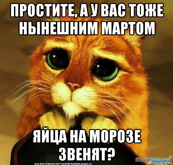 Прикольные прощения. Прощаю прикол. Простите прикольные. Извините прикол.