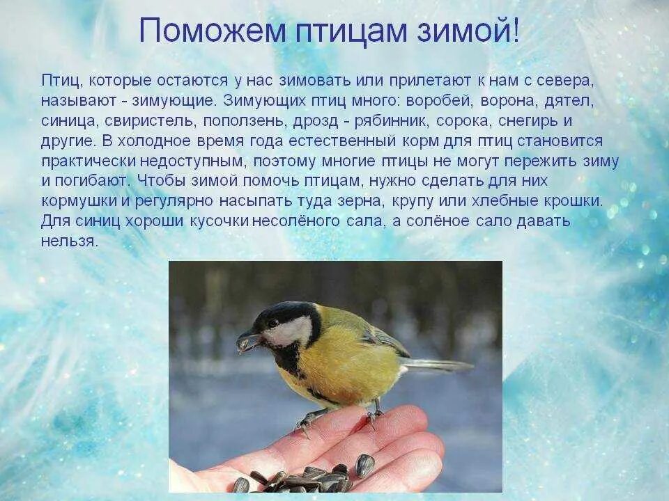 Зимующие птицы. Поможем зимующим птицам. Заметка о зимующих птицах. Сочинение зимующие птицы.
