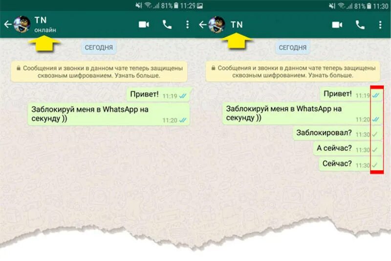 Как узнать заблокировали ли тебя в ватсапе. Как понять что вас заблокировали в ватсап. как понять что ты заблокирован в ватсапе. как понять что человек тебя заблокировал в ватсап. как понять что ты в чс в ватсапе.