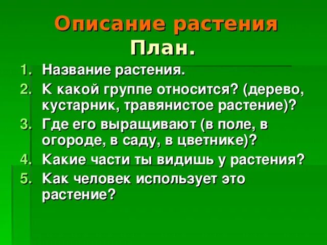 Название группа растений где выращивают. Описание растения по плану. К какой группе относится дерево кустарник травянистое растение. К какой группе относится дерево кустарник. Описание растения по плану 3.