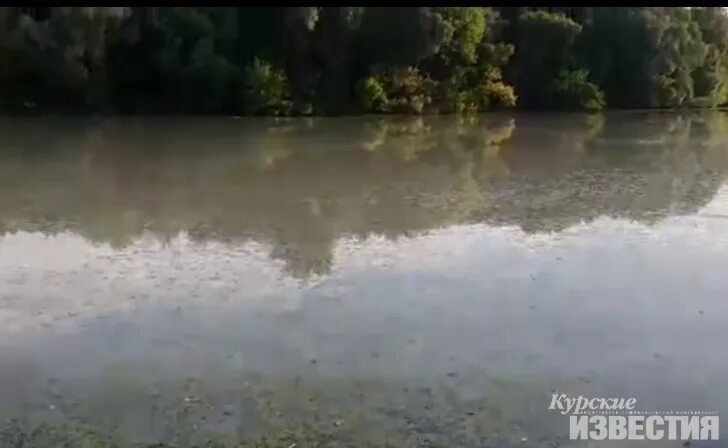 Почему вода в курске. Очистные сооружения Курск Ворошнево. Река на Сейме загрязнена. Загрязнение воды Сейм. Река Сейм загрязнение.