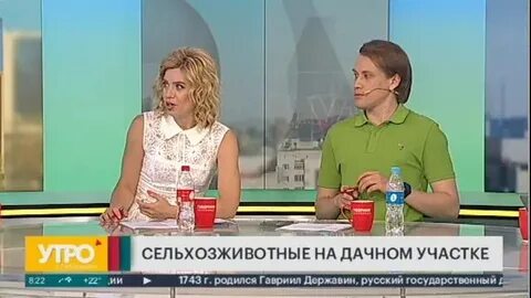 Губерния хабаровск прямой