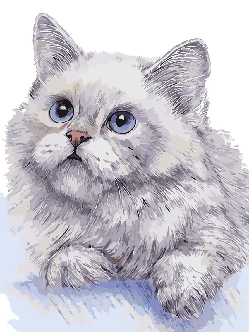 Кот рисунок цветной. Кот карандашом. Животные рисунки. Рисунки котиков. Кошка рисунок.