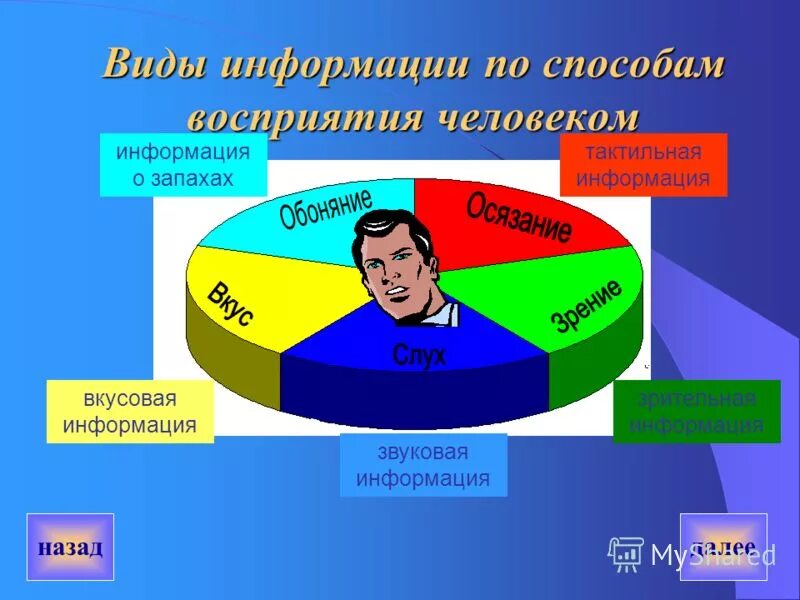 Сообщение человек и информация. Виды информации человека. человек и информация. средства передачи вкусовой информации. виды информации по её восприятию человеком графическим образом.