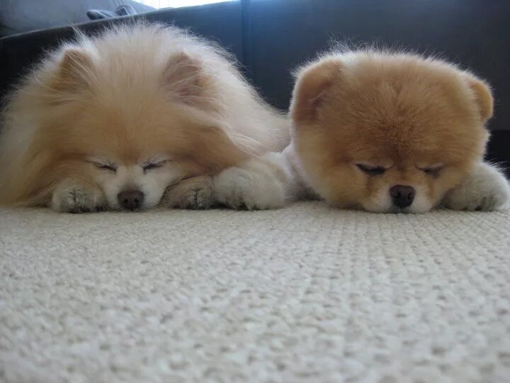 Хорошая видеокамера. Профессиональная съемка. Видеооператор с камерой. Фото видео бу. Видеокамера для съемки.