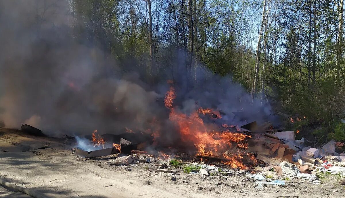 Горение строительного мусора. Загорание мусора на открытой территории. Горение лица