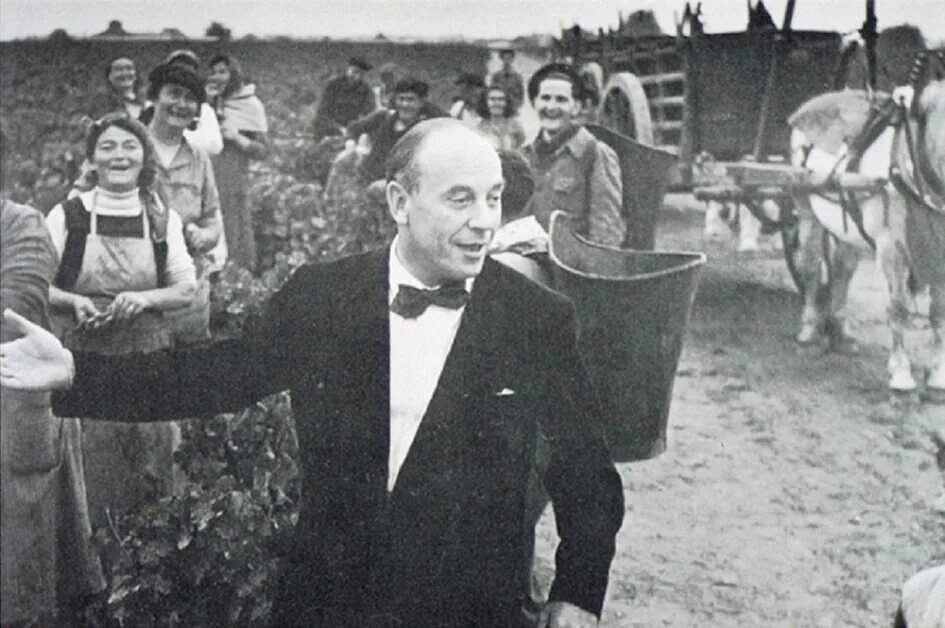Год урожая 1952. Сбор картофеля в ссср. Название выставки ко дню урожая. Совхоз и колхоз 1950. Студенты на картошке в ссср.