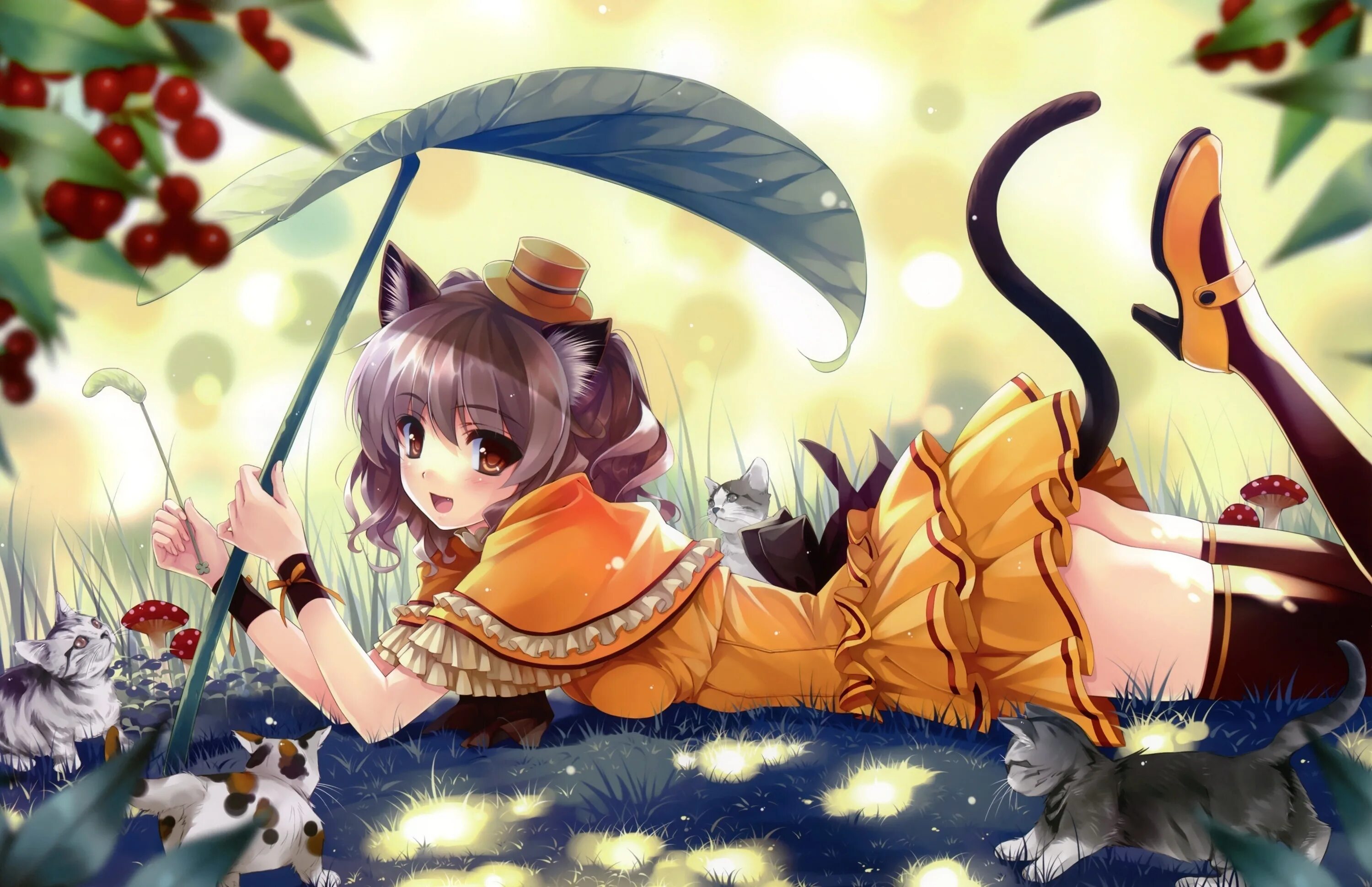 Neko ui