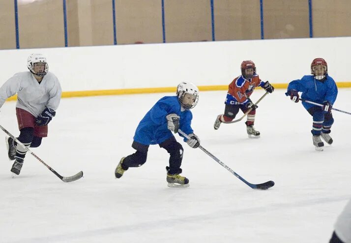 Хоккейные сборы город сочи. Хоккейные сборы в алексине. Хоккейные сборы город сочи. Сборы хоккей 2024. Сборы хоккей 2024.