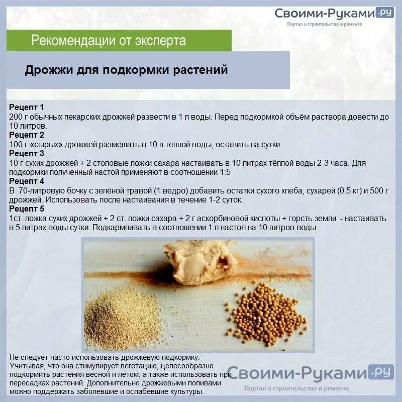 Как развести сухие дрожжи для подкормки растений. Подкормка огурцов сухими дрожжами. Рецепты дрожжевых подкормок. Рецепты дрожжевых подкормок. Рецепты дрожжевых подкормок.