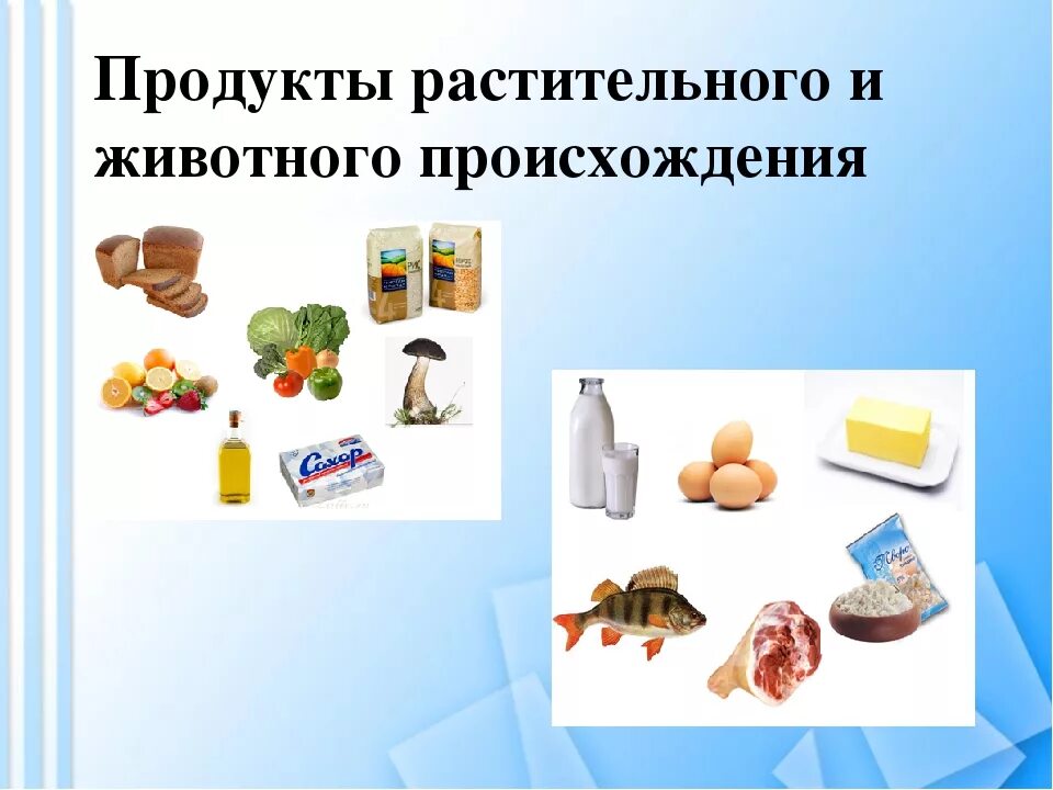 Отметь продукты растительного происхождения. Пища растительного и животного происхождения. Продукты растительного происхождения и животного происхождения. Полезные продукты растительного происхождения. Растительное происхождение.