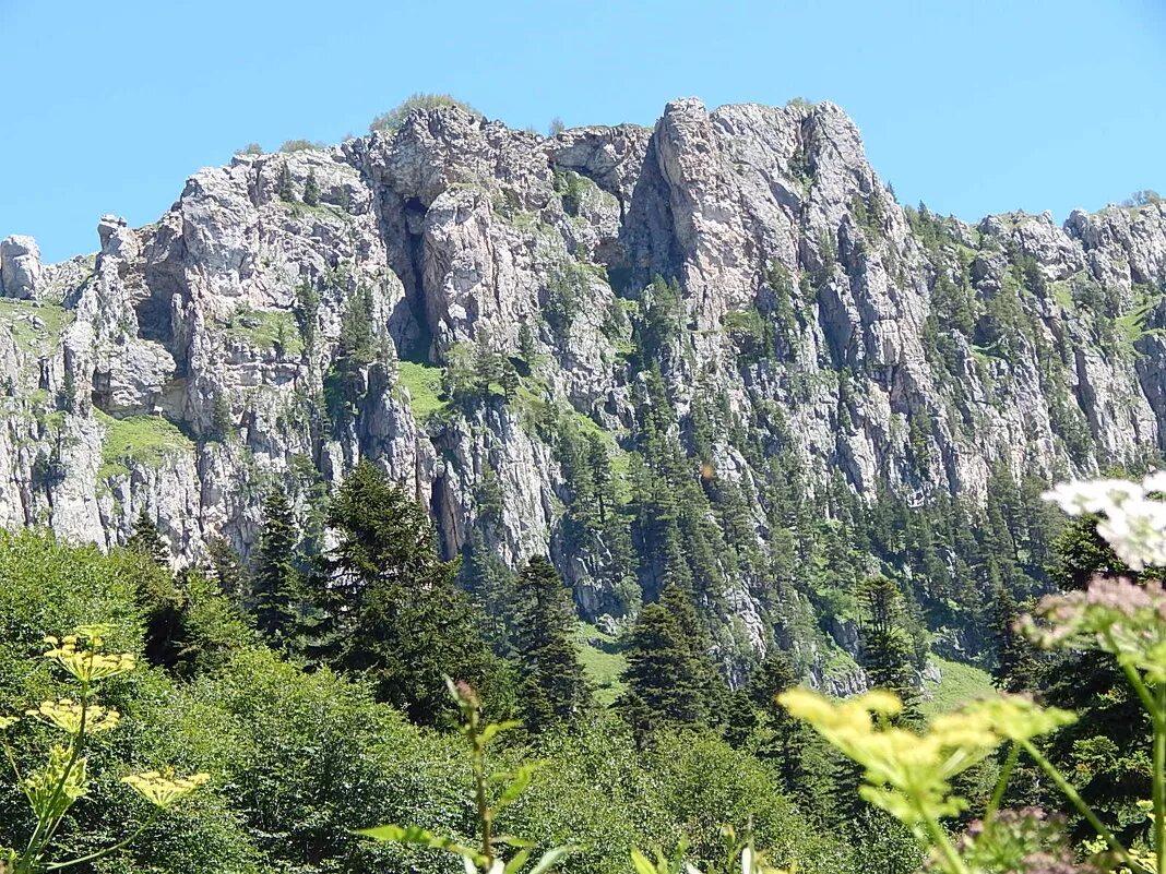 озеро партизанская поляна адыгея. яровая поляна адыгея. партизанская поляна лагонаки. партизанская поляна гузерипль озеро. партизанская поляна гузерипль.