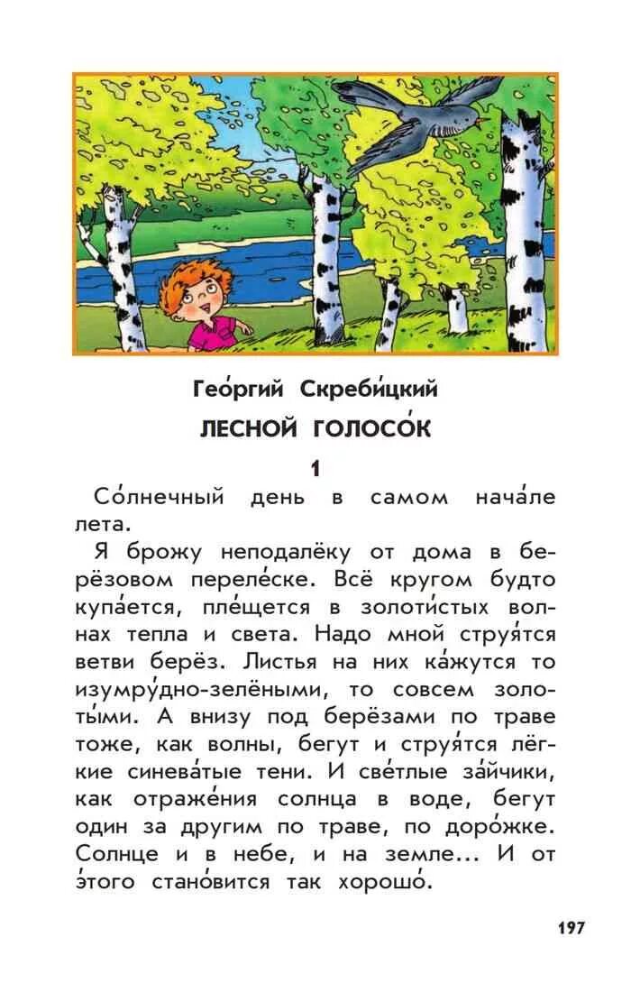 Я брожу в березовом перелеске. Текст Солнечный день в самом начале лета я. Солнечный день в самом начале лета я брожу неподалеку. Учебник по литературному чтению 1 класс Скребицкий.