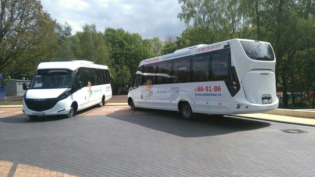 панно мозаичное янтарь. мозаика туроператор. мозаика туроператор. янтарная мозаика туроператор. янтарная мозаика-надежда калининград.