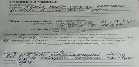 Скрининг пороков развития плода