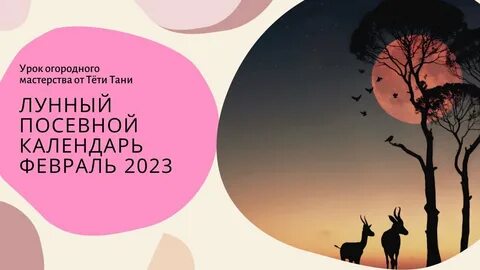 Лунно посевной на декабрь 2023