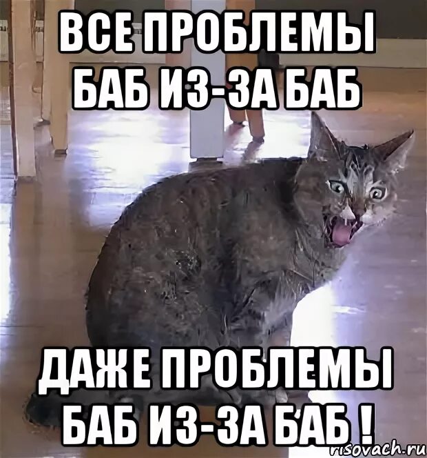 Баба без проблем. Все проблемы из за баб. все проблемы из за баб даже проблемы баб из за баб. все проблемы изза баб мем. проблемы баб из-за баб.