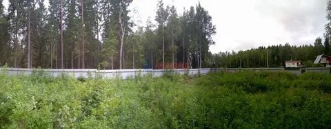 Погода в симагино ленинградской
