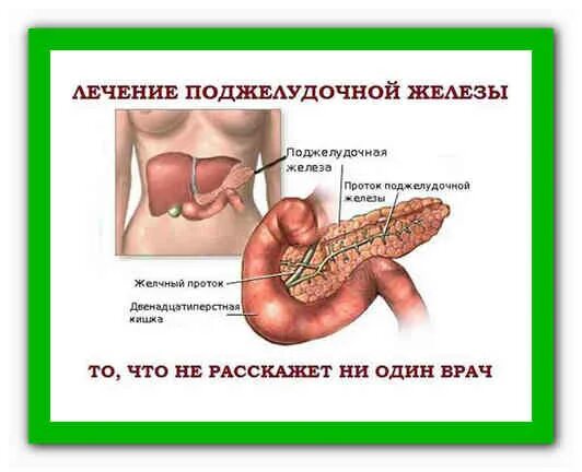 Удаляют ли поджелудочную железу полностью. От поджелудочной. Здоровая поджелудочная железа. Терапия поджелудочной железы.