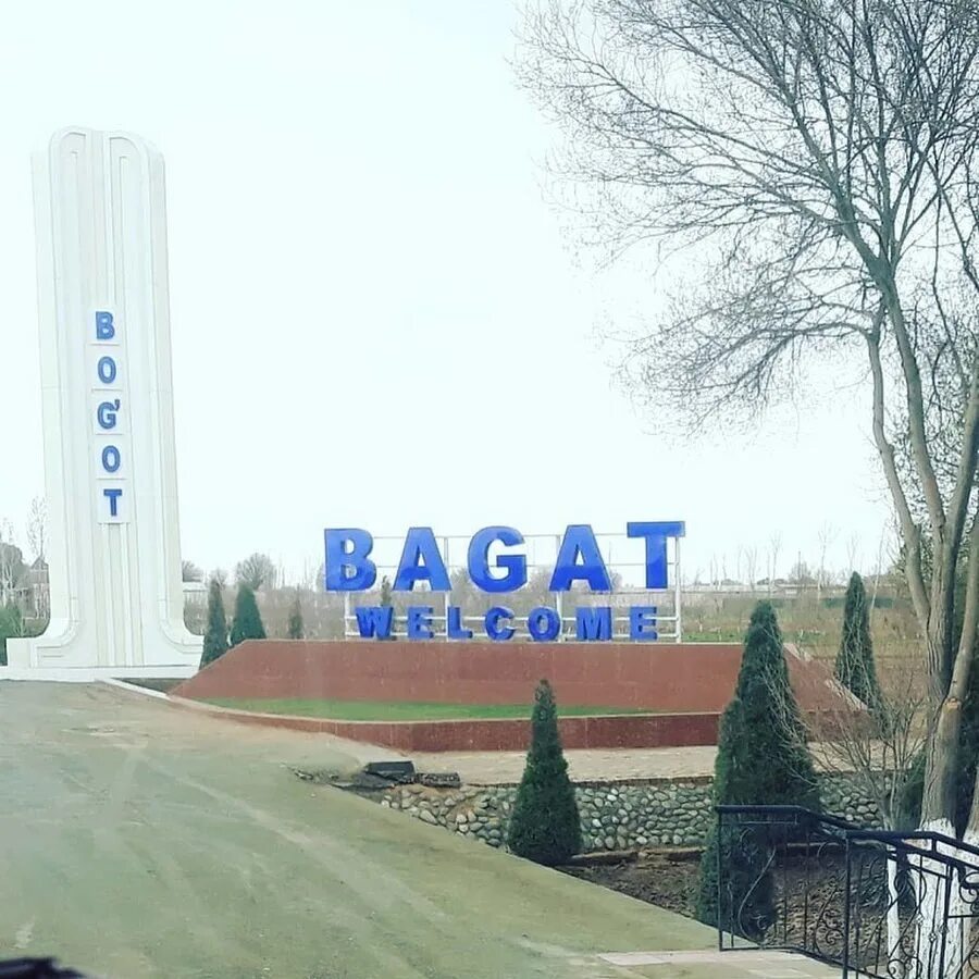 Каракал котенок. Каракал, пустынная рысь. Степной кот каракал. Каракал степная пума. Каракал и каракет.