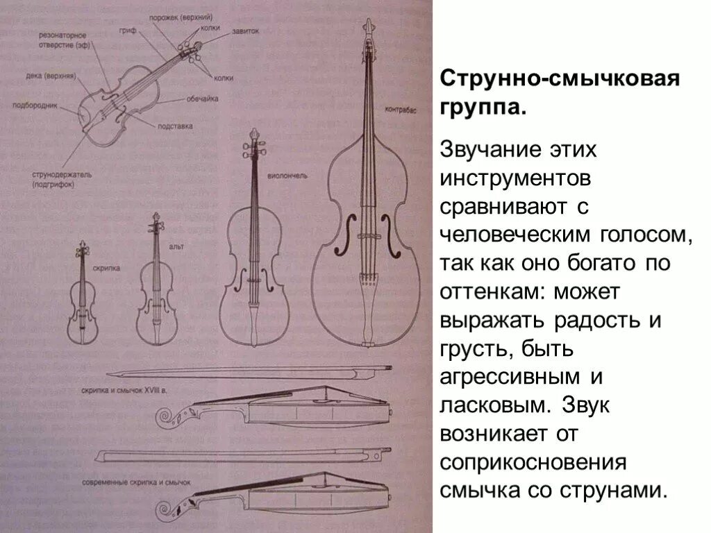 Общее название арабских струнных смычковых инструментов. Струнно-смычковые инструменты симфонического оркестра. струнно смычковые инструменты симфонич оркестра. струнные смычковые инструменты симфонического оркестра названия. 3 струнно смычковых инструментов.