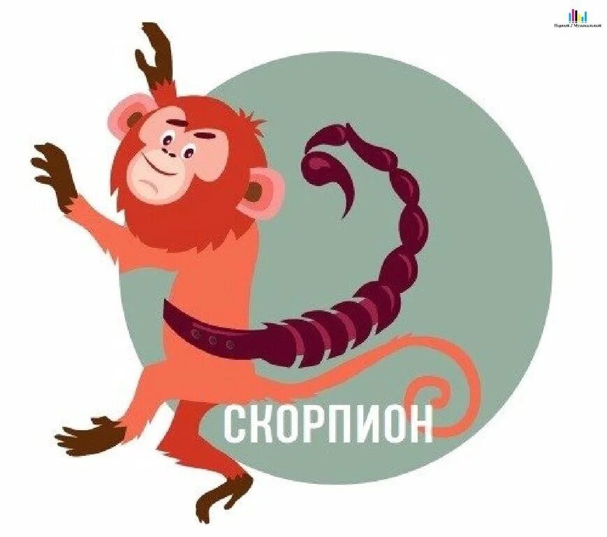 Гороскоп обезьяна скорпион. Обезьяна Скорпион. Год обезьяны. Скорпион в год обезьяны. Знак зодиака обезьяна.