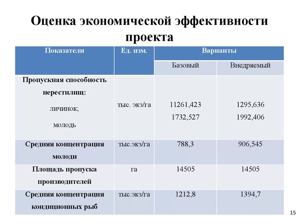 Проводится оценка экономической эффективности