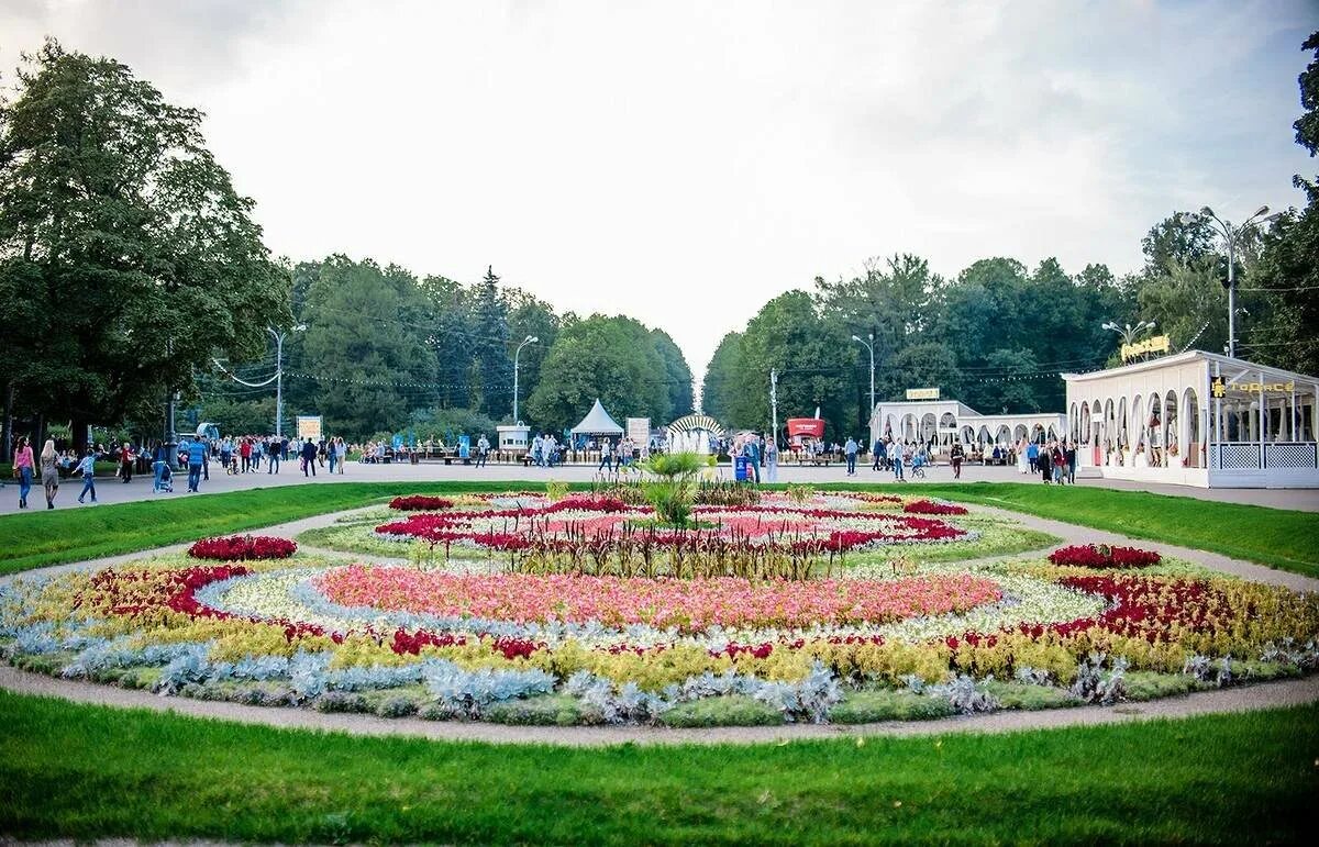 Лучшие парки москвы для прогулок. Парк Сокольники. Сокольники парк Центральная клумба. Сокольнический парк Москва. Кинополяна парк Сокольники.