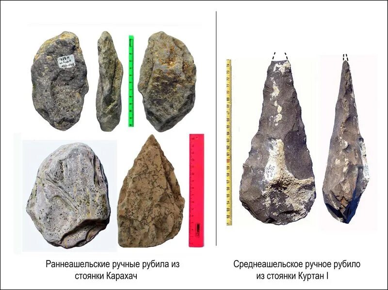 Homo habilis орудия. Человек прямоходящий орудия труда. Homo habilis древнейшие каменные орудия. Ашельская культура человек прямоходящий. Рубило ру