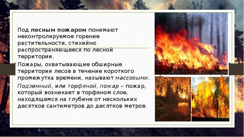 Неконтролируемое горение растительности стихийно. Пожаром называют неконтролируемое горение. Лесной пожар это неконтролируемое горение растительности. Пожар это неконтролируемое горение