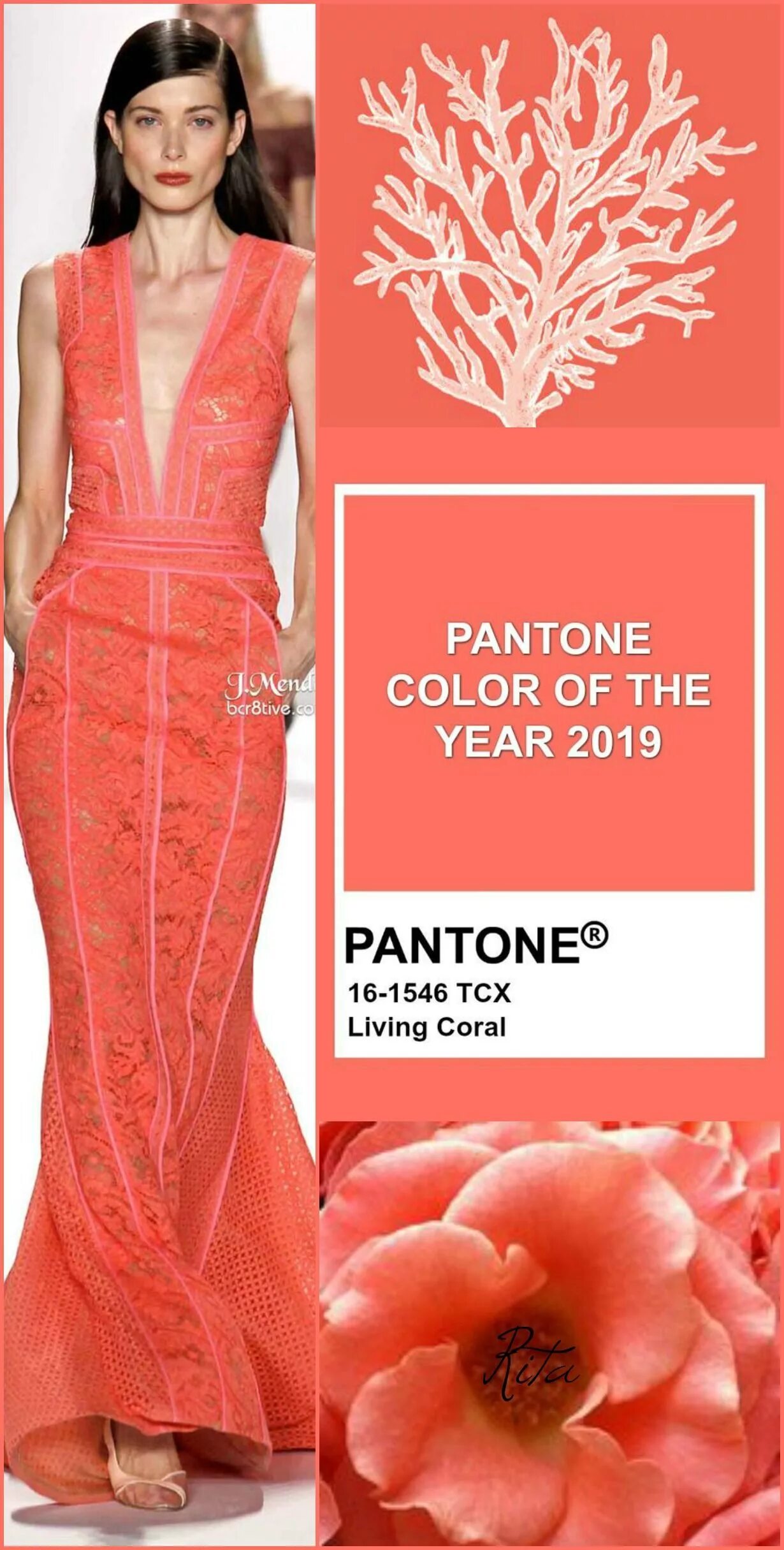 Цвет тины. Living Coral цвет. Pantone Living Coral. Pantone 2019. Цвет Live Coral.