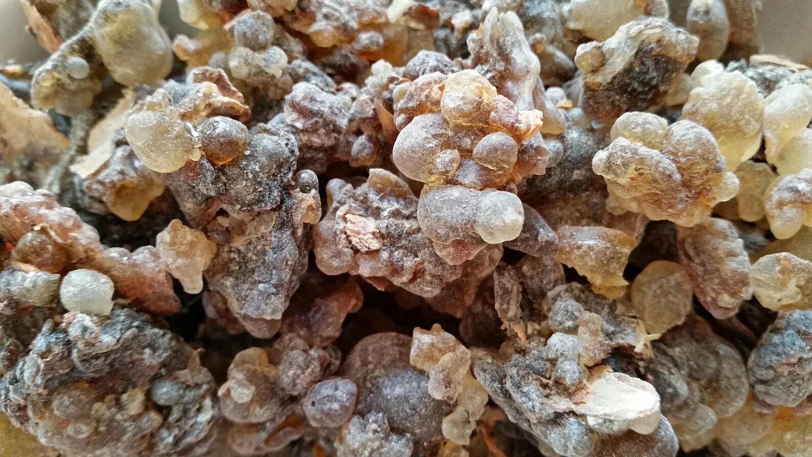 Босвеллия смола. Смола олибанум. Босвеллия ладан. Ладан олибанум. Ладан смол г.