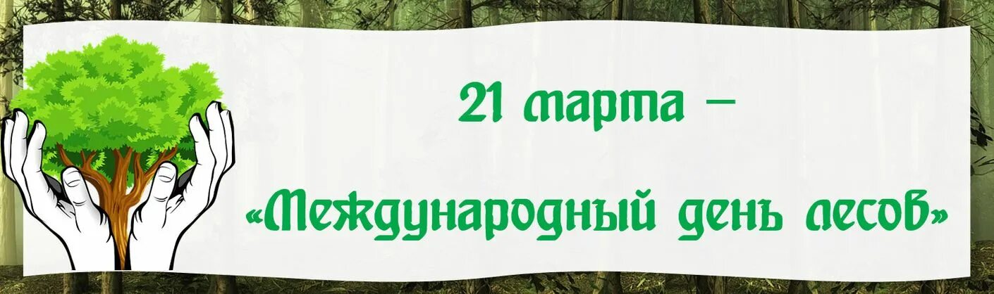 День леса в доу отчет. Международный день леса. Междуанродныйдень лесов. Акция Международный день леса.