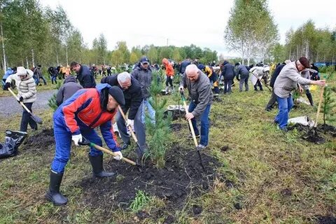 Рекультивация земель кузбасса