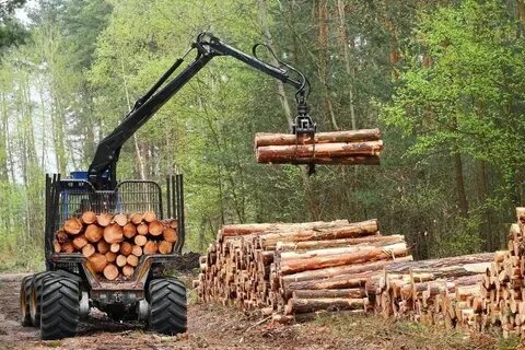 Лесная промышленность оборудование